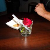  Sproing Pics (179/248)